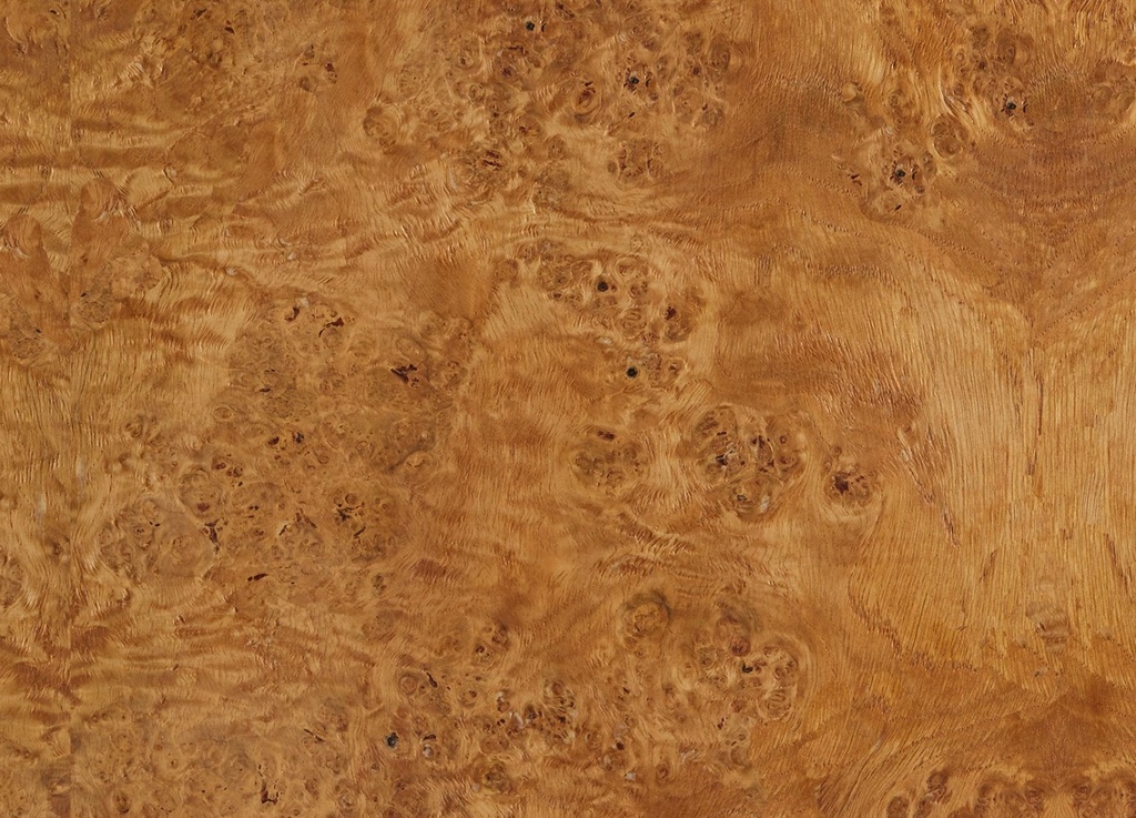 Veneer Oak Burl